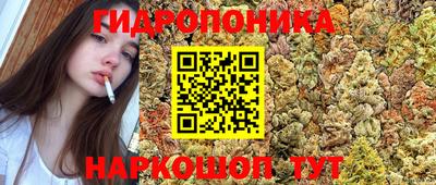 индика Гагарин