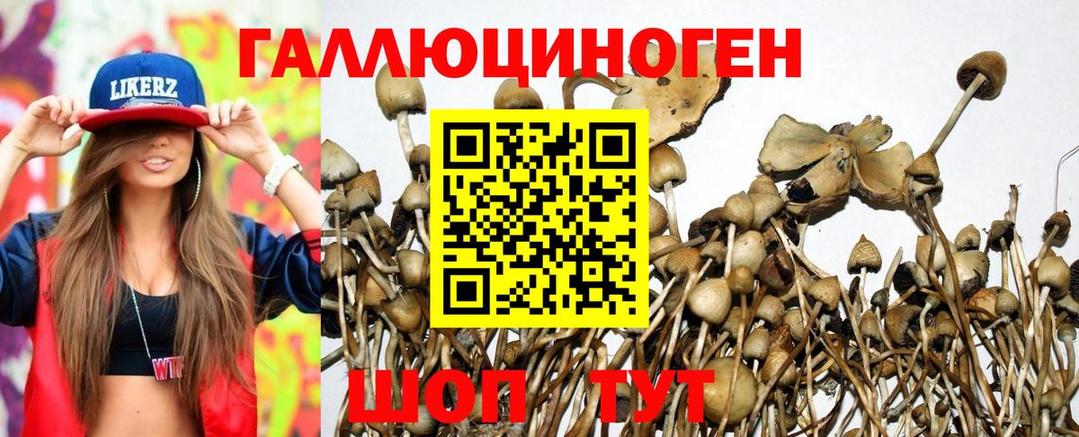 Псилоцибиновые грибы прущие грибы  Галлюциногенные грибы мицелий  Балахна  наркошоп  Вход с VPN 