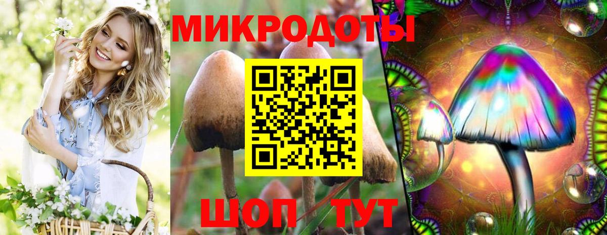 Псилоцибиновые грибы Psilocybe Балахна